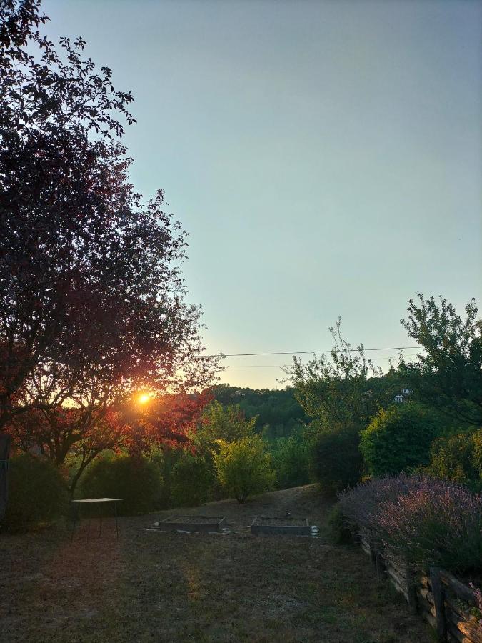 Sotto La Luna Bruna B&B Cocconato Exteriér fotografie