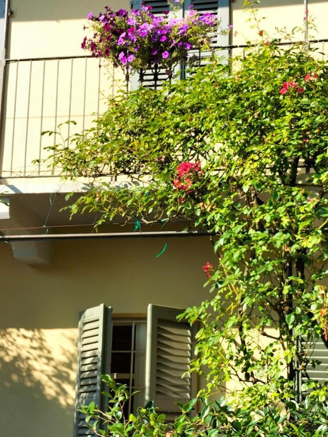 Sotto La Luna Bruna B&B Cocconato Exteriér fotografie