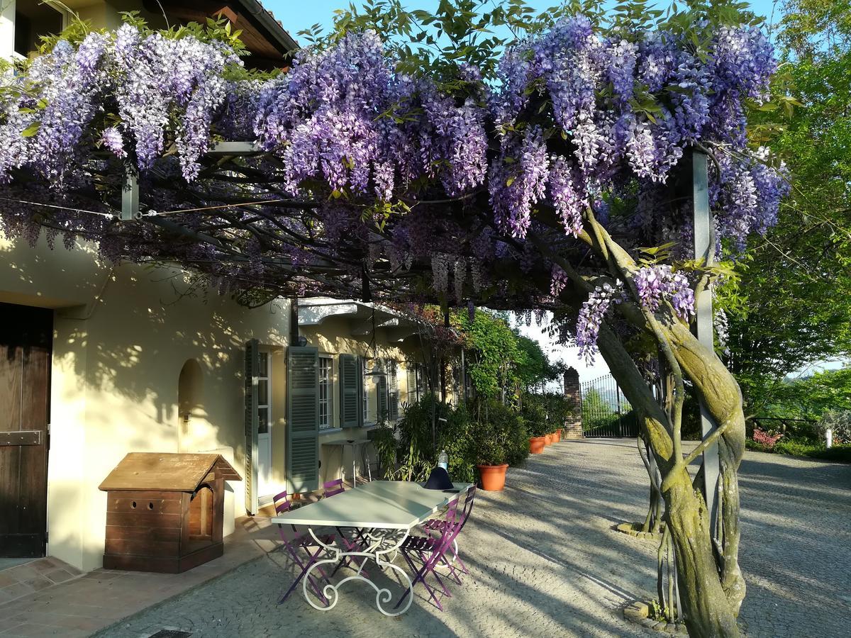 Sotto La Luna Bruna B&B Cocconato Exteriér fotografie