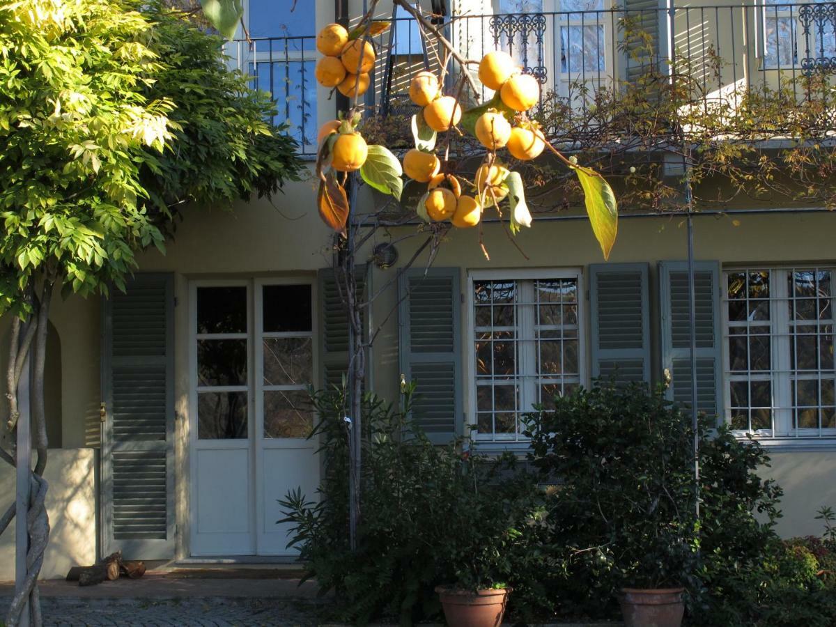 Sotto La Luna Bruna B&B Cocconato Exteriér fotografie
