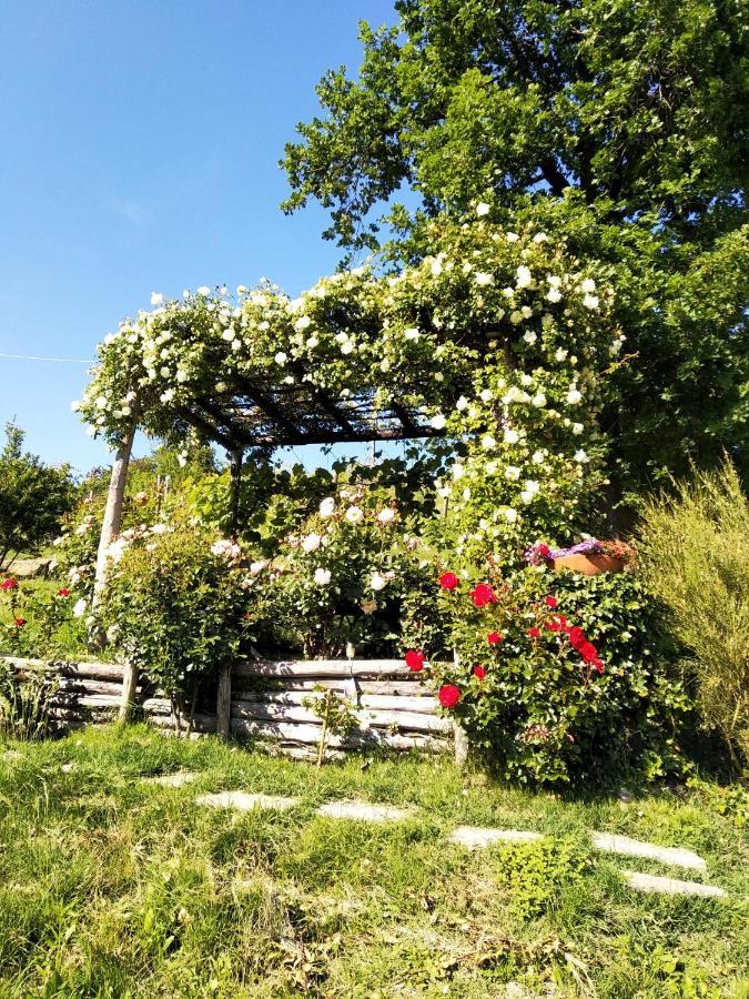 Sotto La Luna Bruna B&B Cocconato Exteriér fotografie
